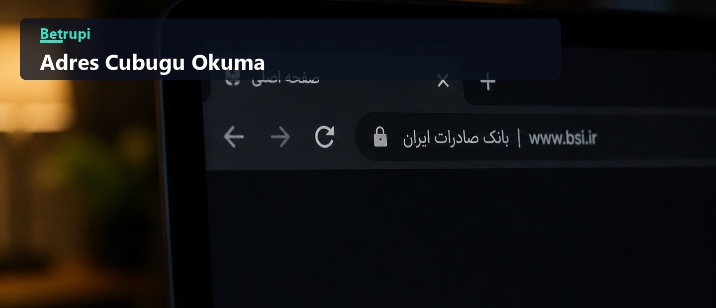 Tarayıcı adres çubuğunda alan adı yazımının ve güvenlik simgesinin işaretlendiği açıklamalı görsel